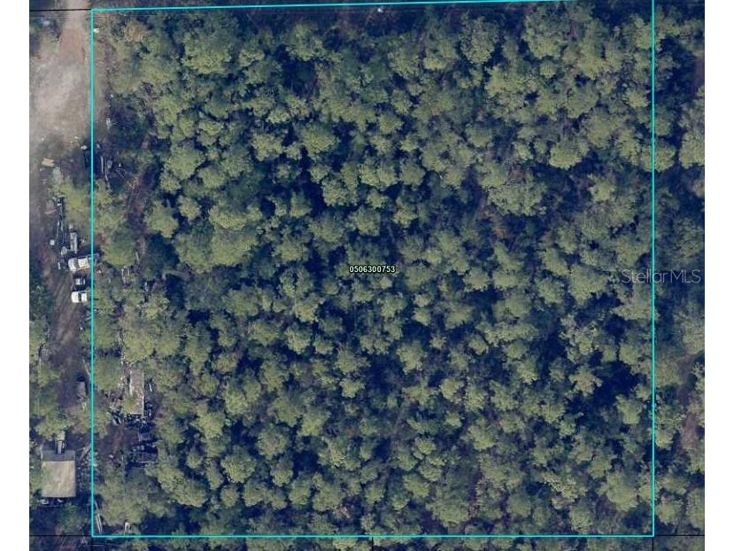 4225 Melanie Street Hastings FL 32145 A4668531 image4