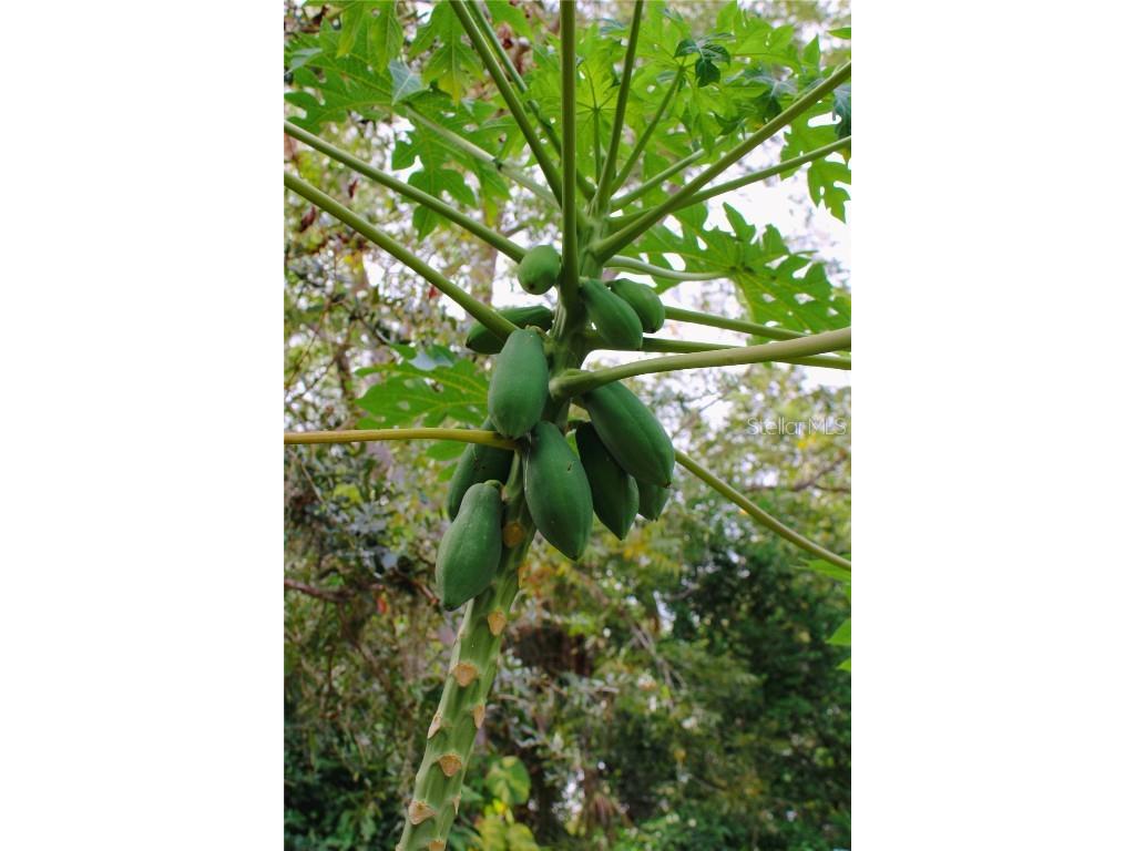 4225 Old Bradenton Road #C Sarasota FL 34234 TB8443988 image16