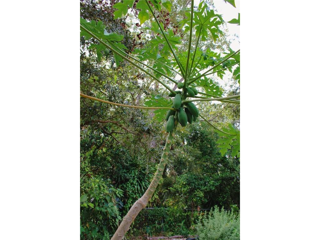 4225 Old Bradenton Road #C Sarasota FL 34234 TB8443988 image17