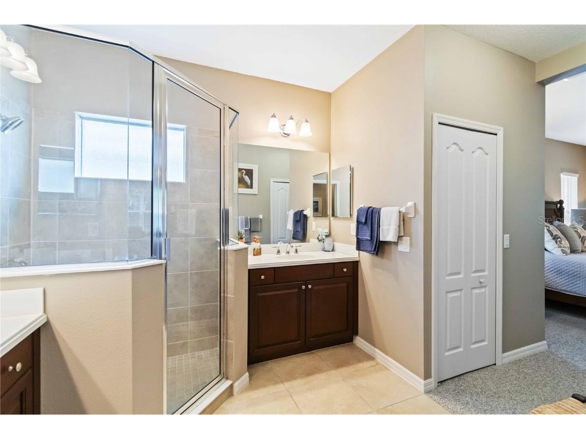 4225 Pine Meadow Drive Parrish FL 34219 A4664770 image21