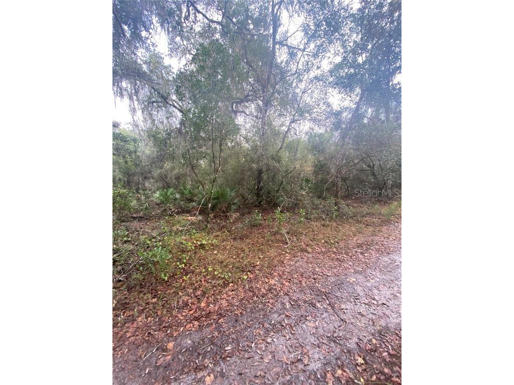 4225 S Tamarak Point Inverness FL 34450 - TSALA APOPKA LAKE T3488555 image1