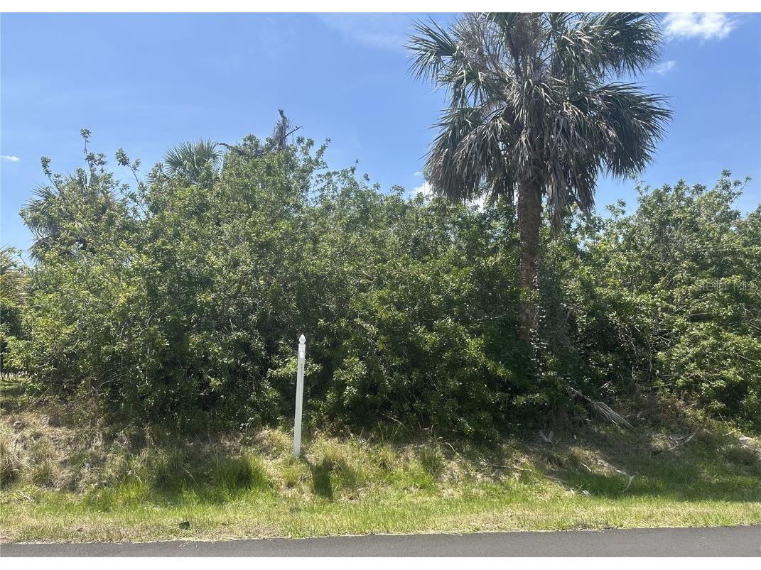 4225 Swensson Street Port Charlotte FL 33948 C7509227 image3