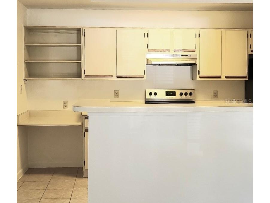 4225 Thornbriar Lane #208 Orlando FL 32822 O6340800 image4