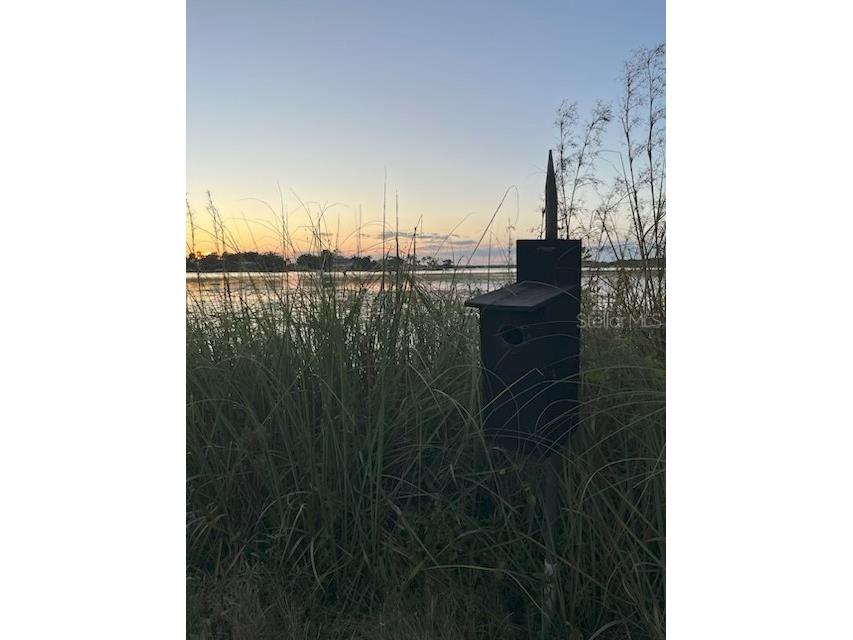 4226 Downeast Lane Windermere FL 34786 - BUTLER CHAIN OF LAKES O6355233 image16