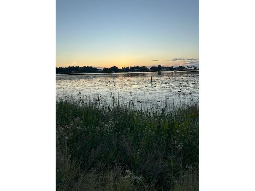 4226 Downeast Lane Windermere FL 34786 - BUTLER CHAIN OF LAKES O6355233 image17