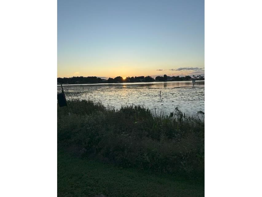 4226 Downeast Lane Windermere FL 34786 - BUTLER CHAIN OF LAKES O6355233 image18