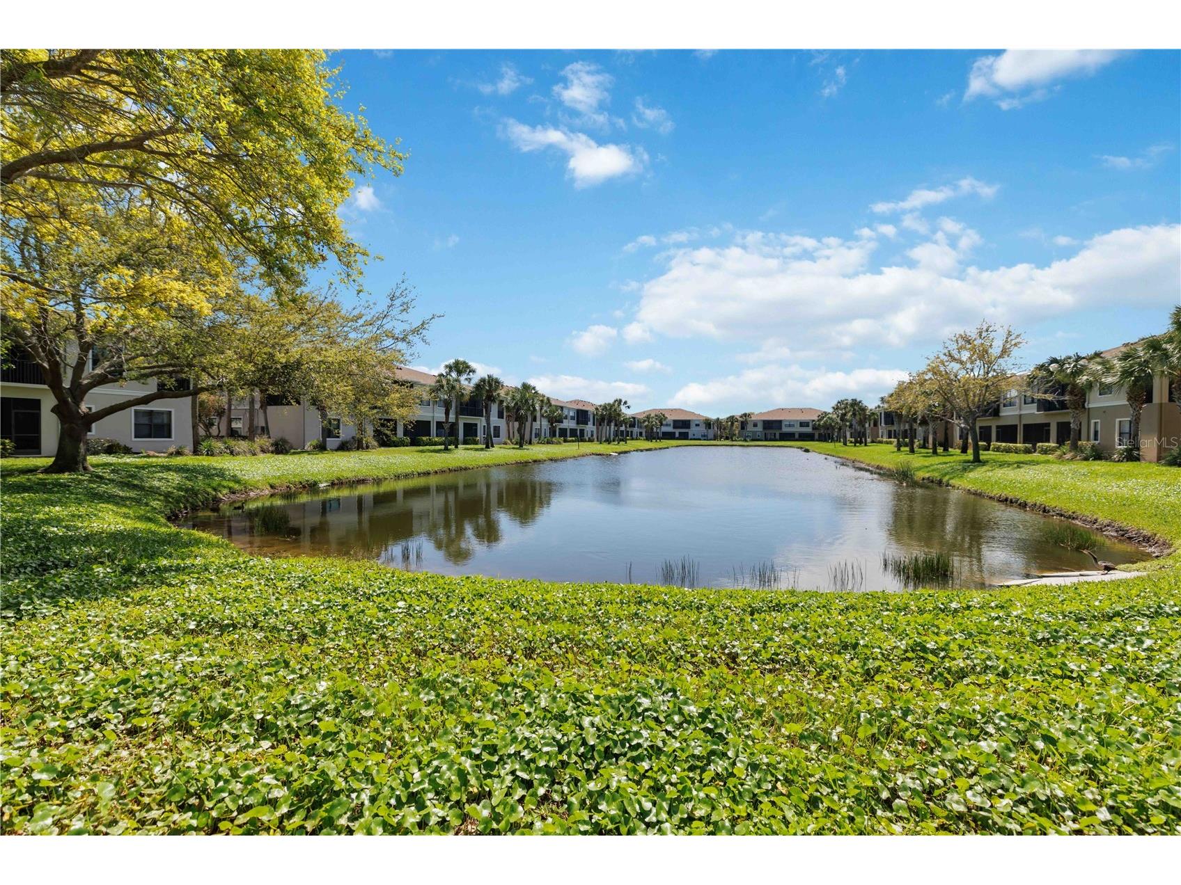 4226 Overture Circle Bradenton FL 34209 A4686666 image46