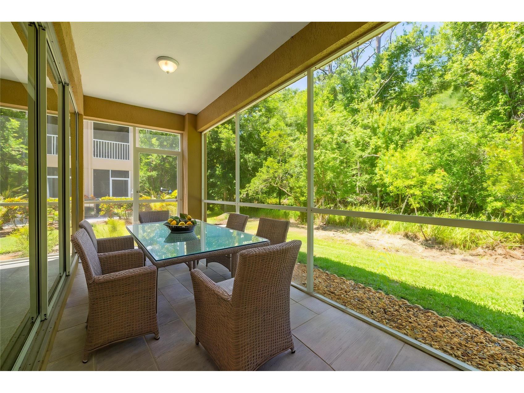 4226 Preserve Place Palm Harbor FL 34685 TB8511386 image18