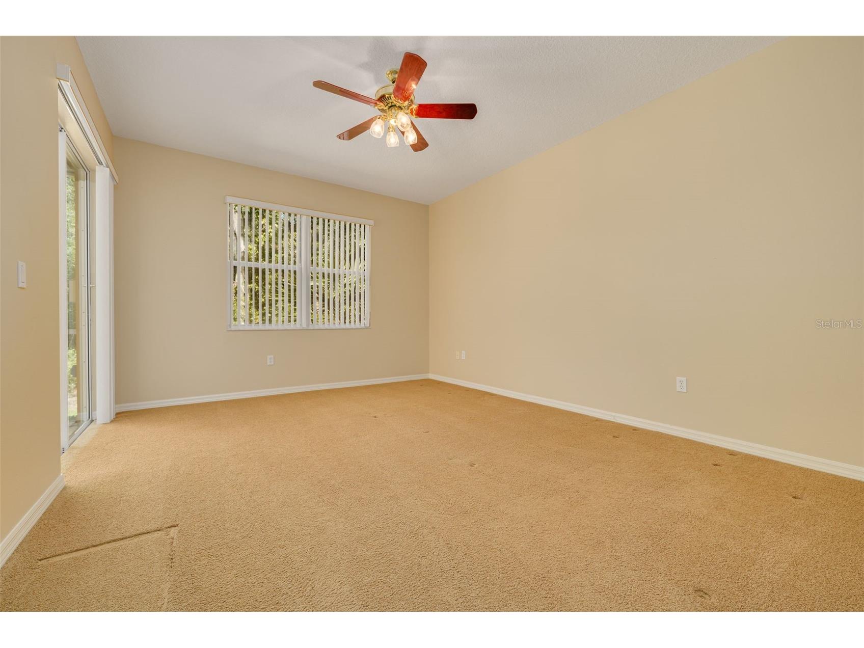 4226 Preserve Place Palm Harbor FL 34685 TB8511386 image22