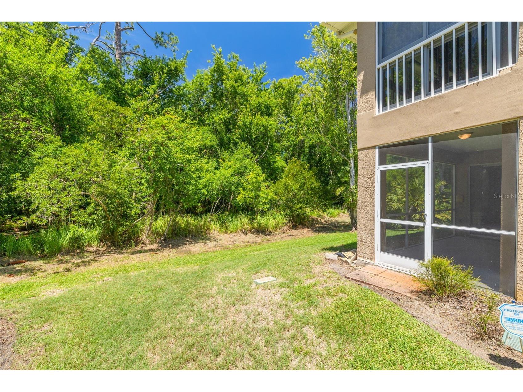 4226 Preserve Place Palm Harbor FL 34685 TB8511386 image38
