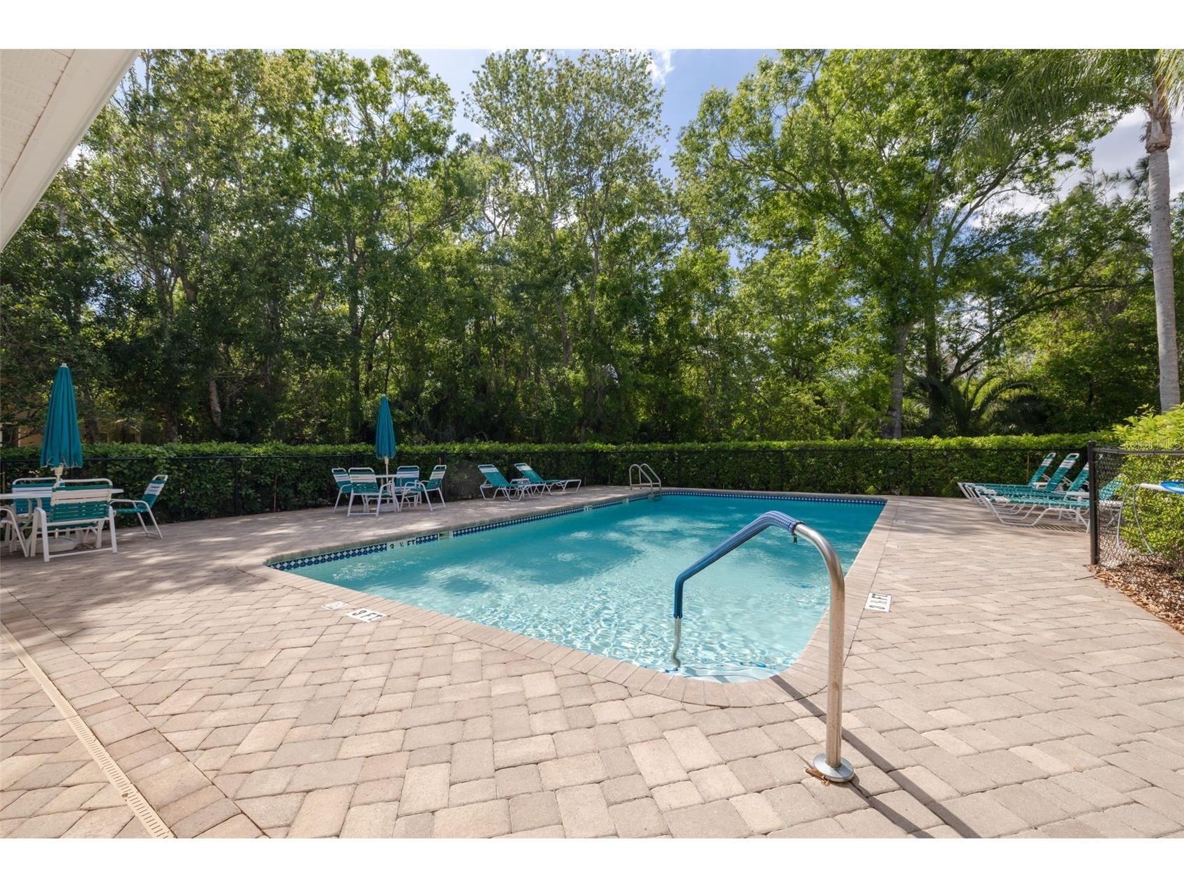 4226 Preserve Place Palm Harbor FL 34685 TB8511386 image39