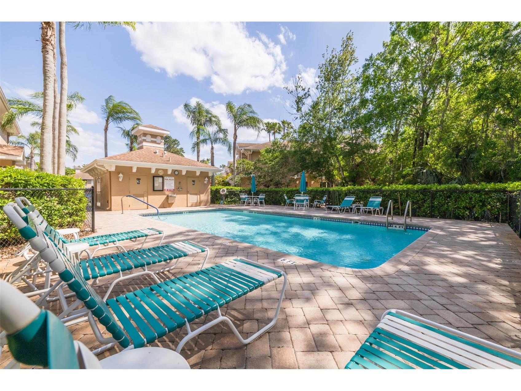 4226 Preserve Place Palm Harbor FL 34685 TB8511386 image41