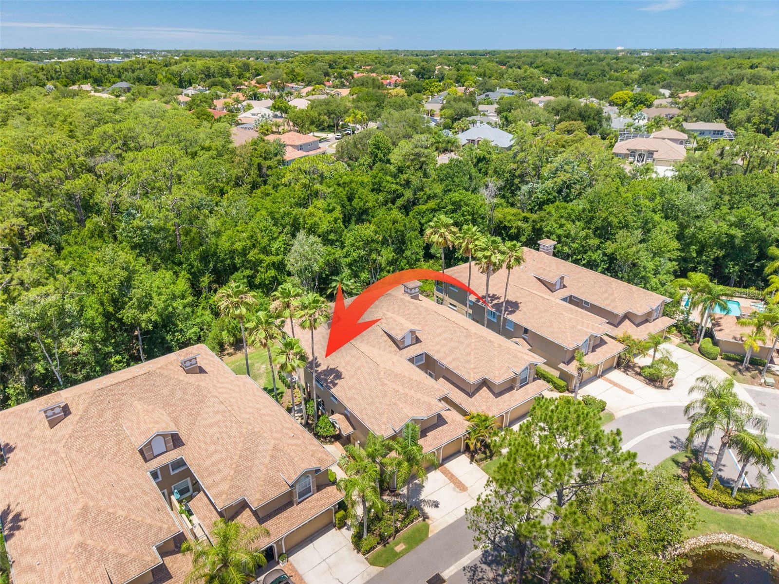4226 Preserve Place Palm Harbor FL 34685 TB8511386 image42
