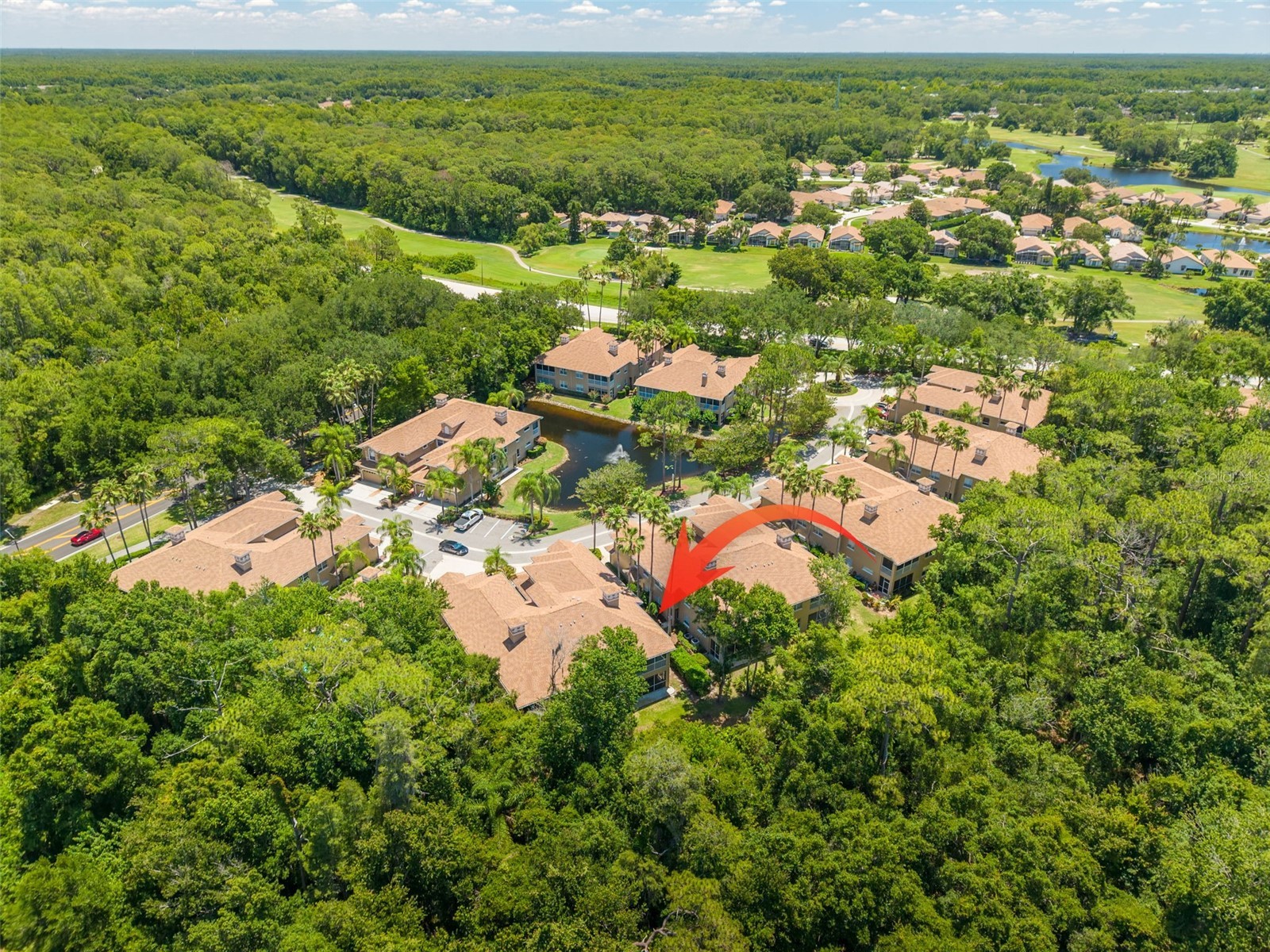 4226 Preserve Place Palm Harbor FL 34685 TB8511386 image43