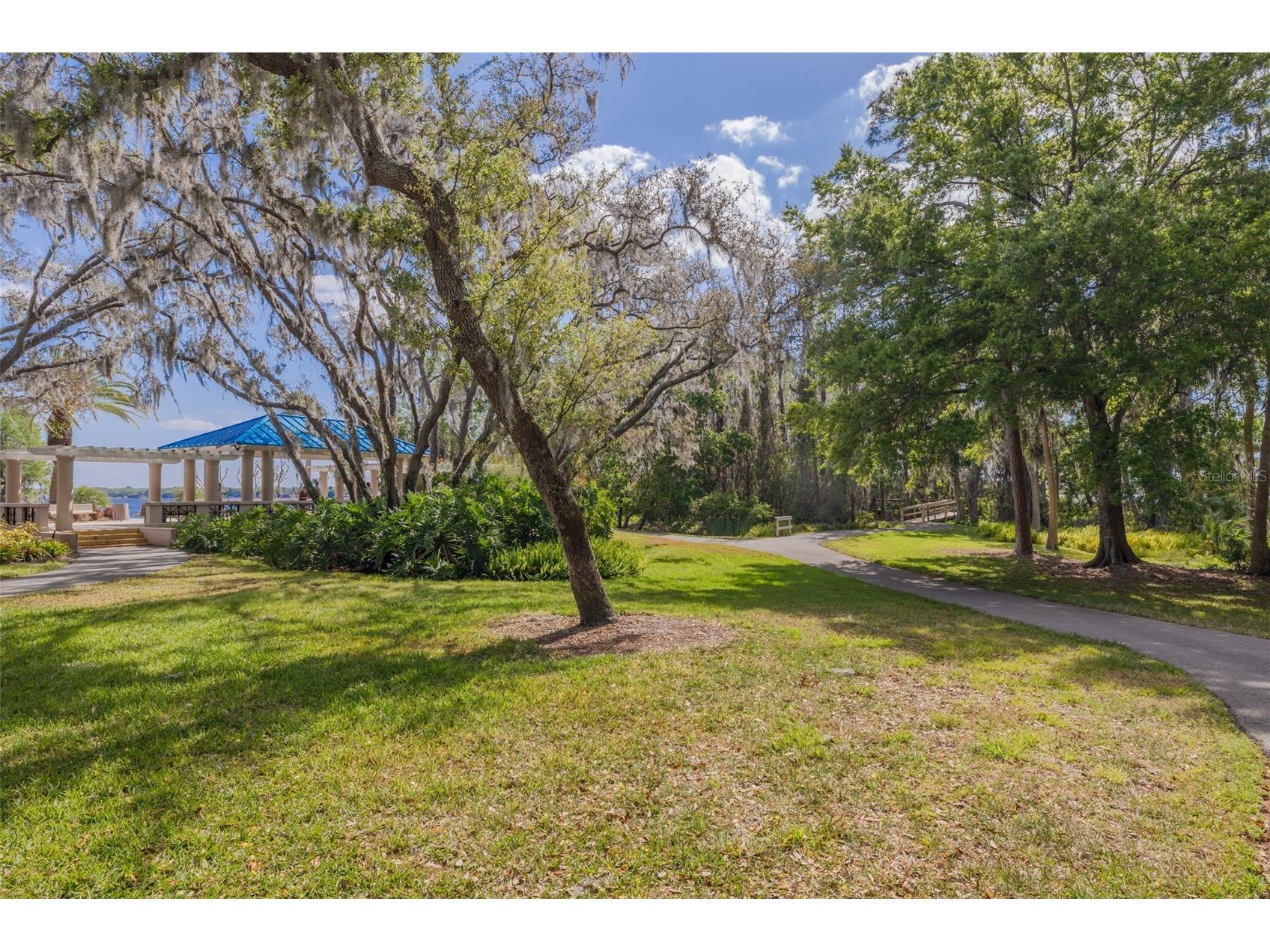 4226 Preserve Place Palm Harbor FL 34685 TB8511386 image46