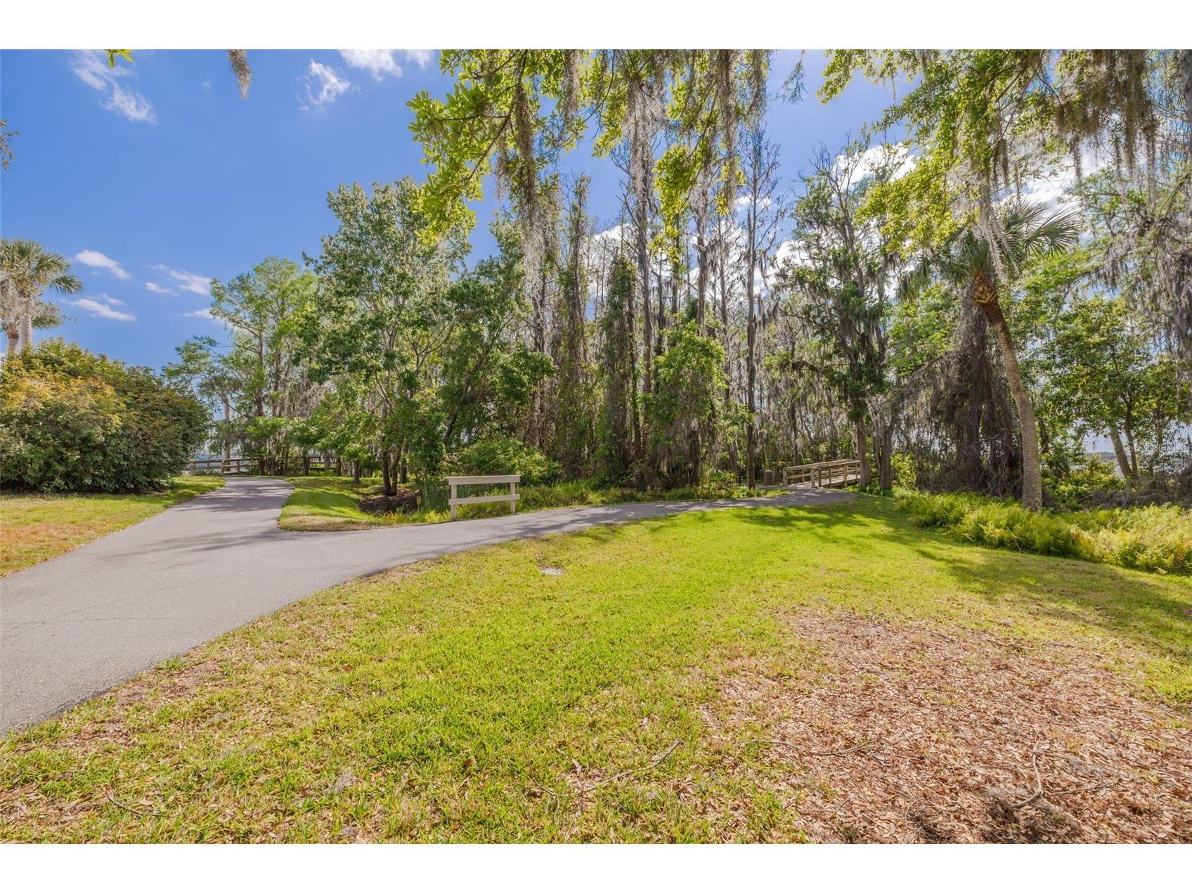 4226 Preserve Place Palm Harbor FL 34685 TB8511386 image47
