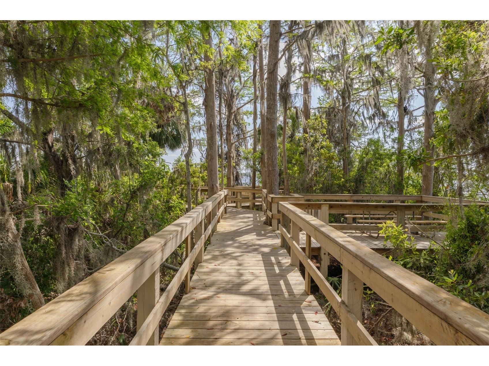 4226 Preserve Place Palm Harbor FL 34685 TB8511386 image48