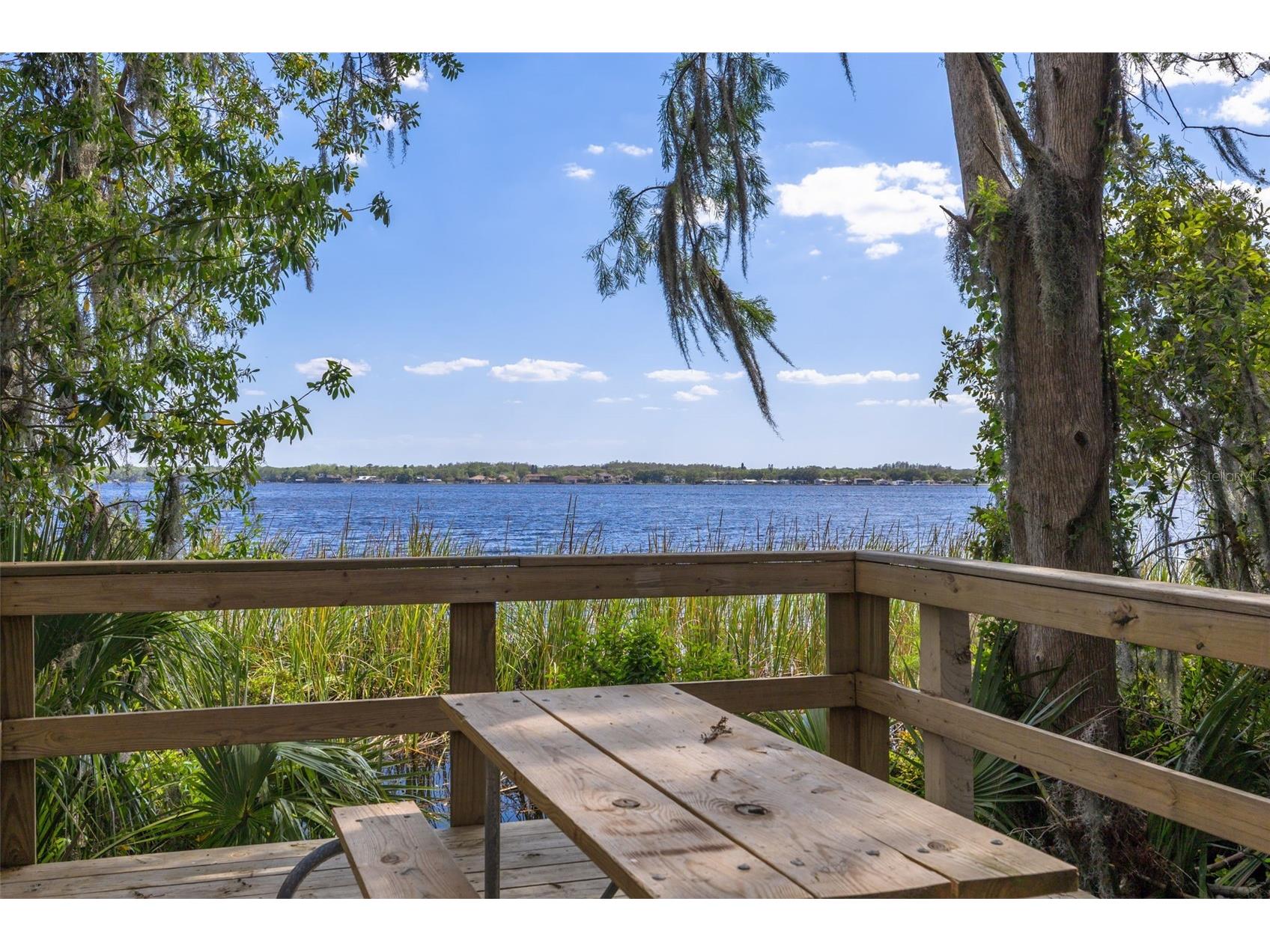 4226 Preserve Place Palm Harbor FL 34685 TB8511386 image49