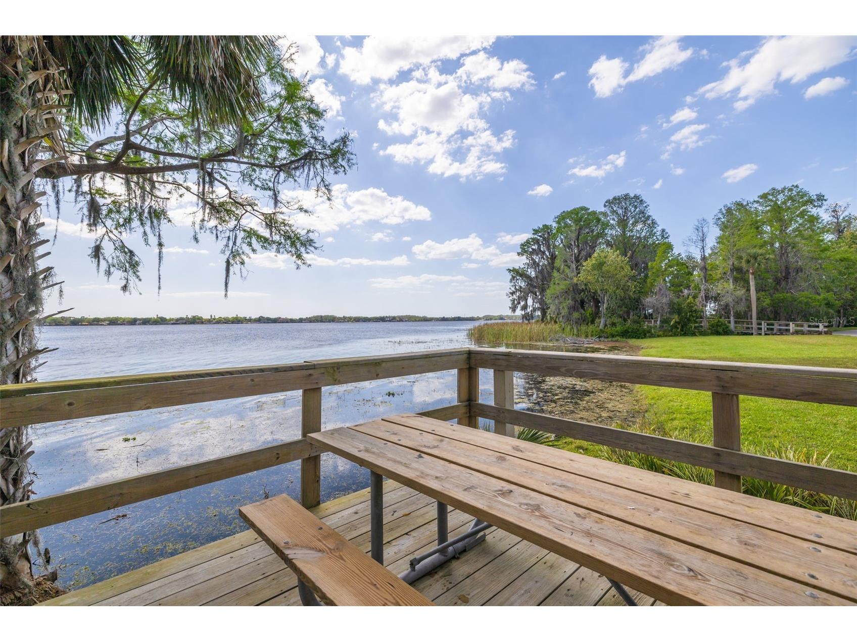 4226 Preserve Place Palm Harbor FL 34685 TB8511386 image50