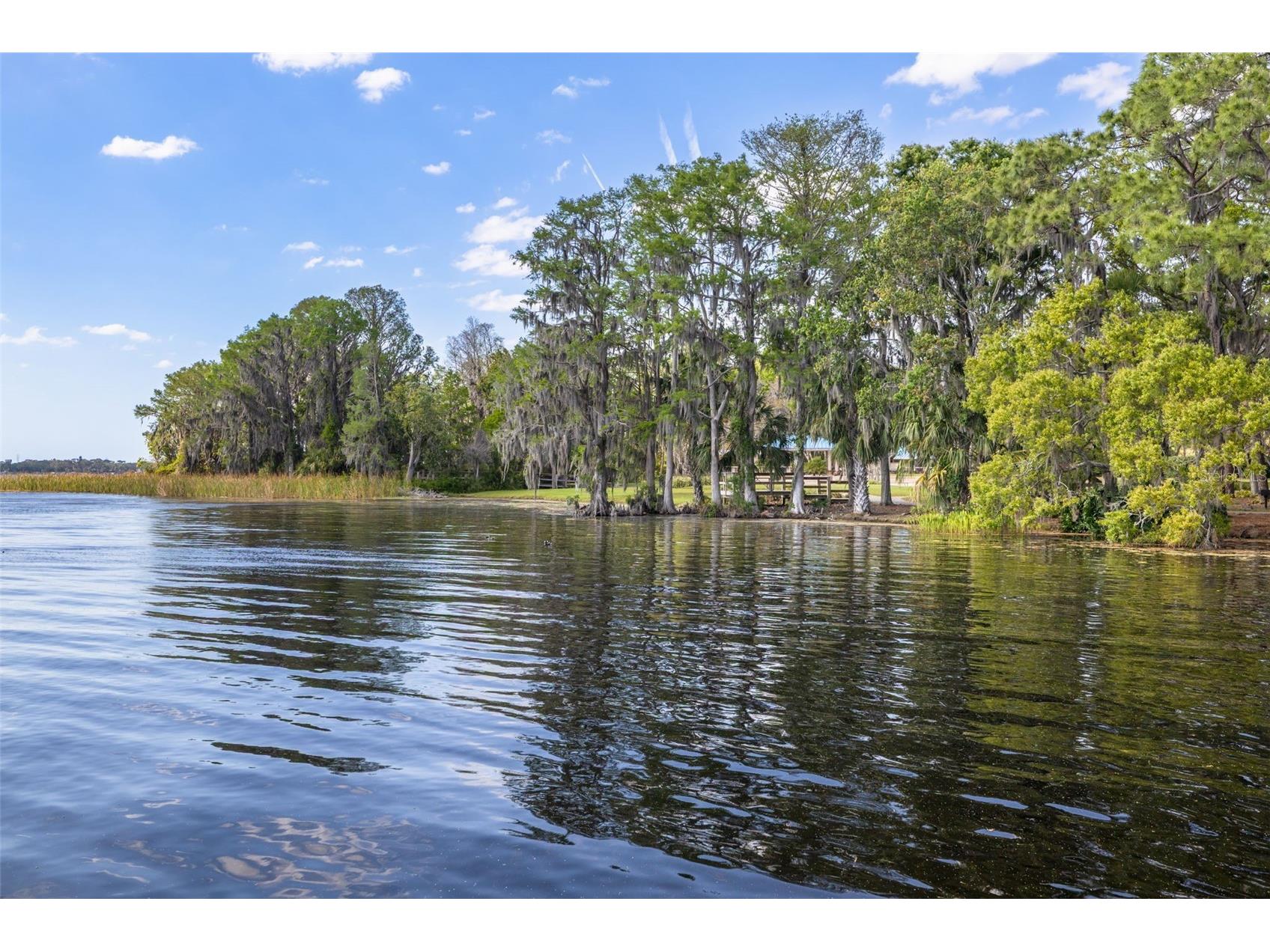 4226 Preserve Place Palm Harbor FL 34685 TB8511386 image52