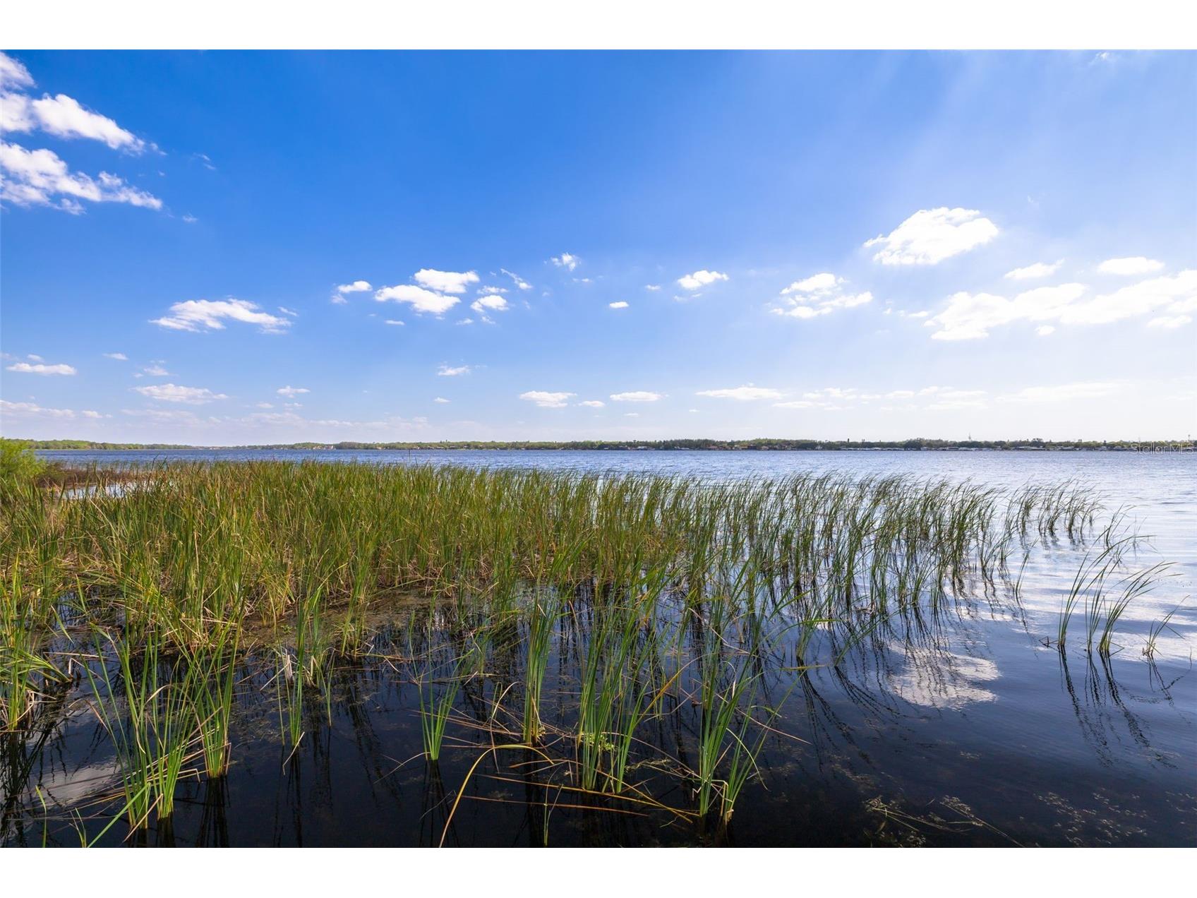 4226 Preserve Place Palm Harbor FL 34685 TB8511386 image53