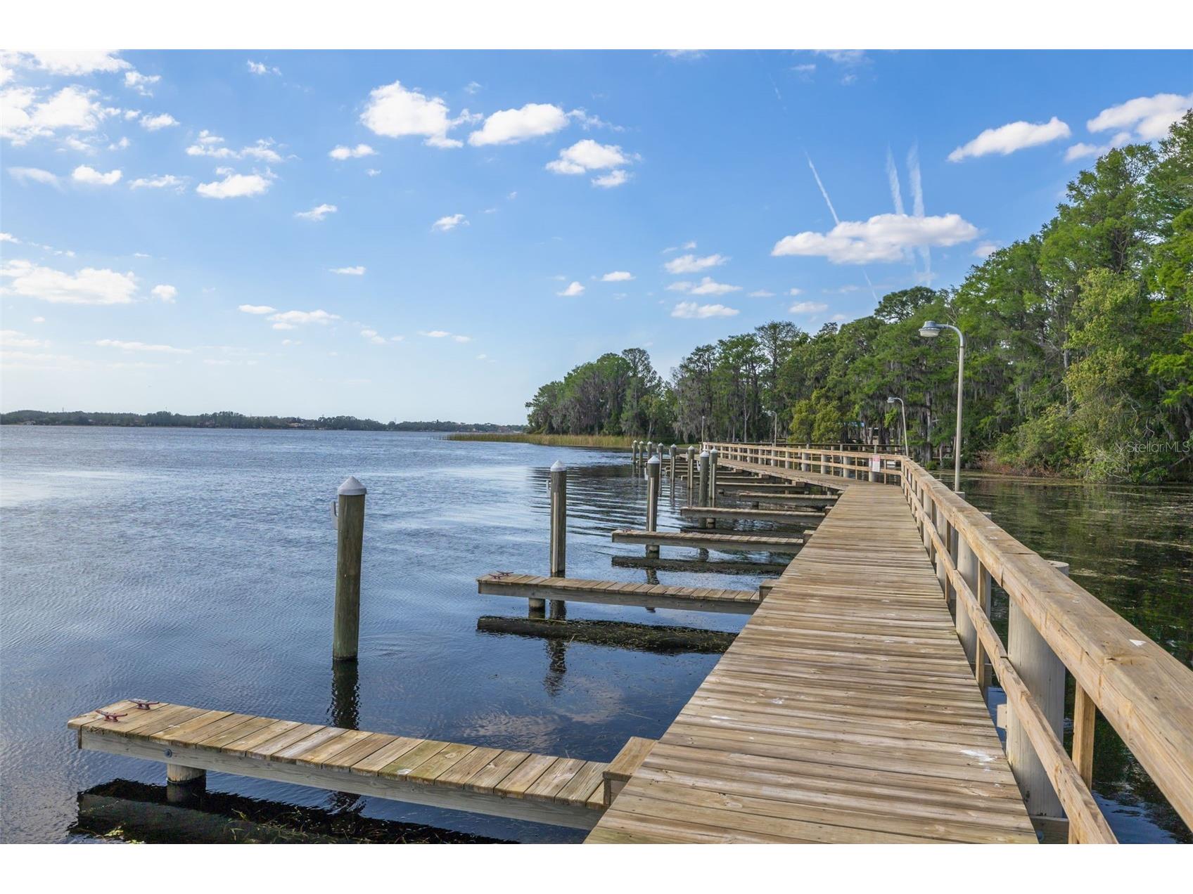 4226 Preserve Place Palm Harbor FL 34685 TB8511386 image54