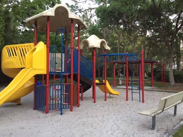 4226 Preserve Place Palm Harbor FL 34685 TB8511386 image56