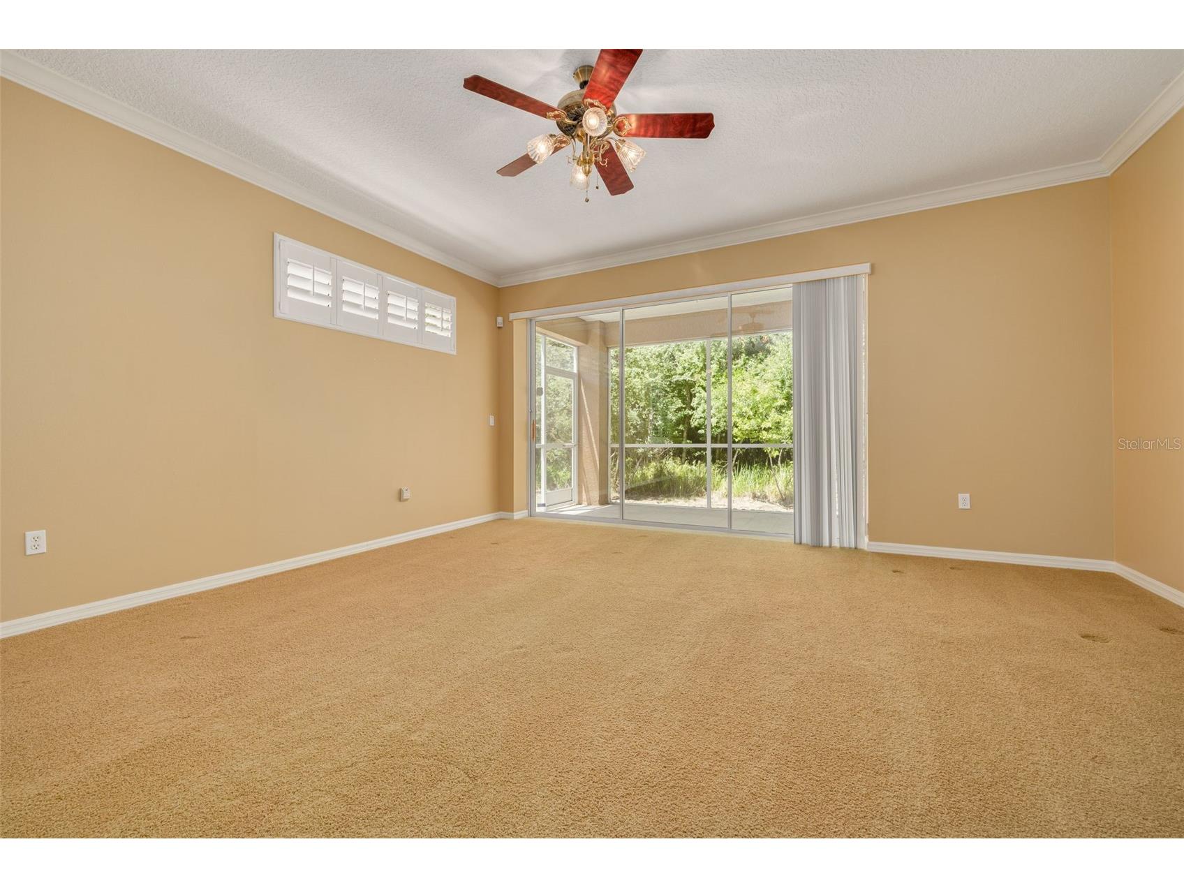 4226 Preserve Place Palm Harbor FL 34685 TB8511386 image8