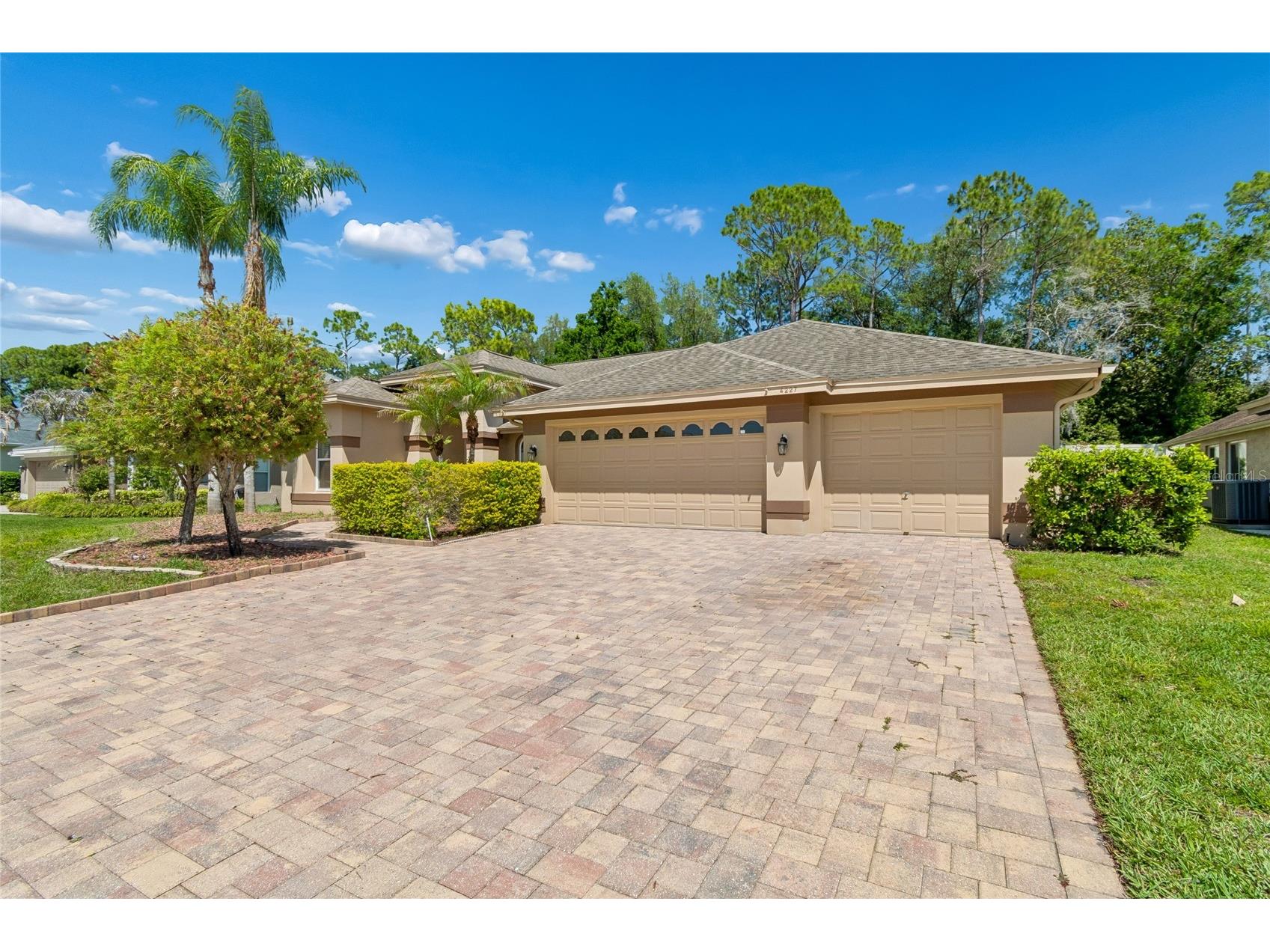 4227 Auston Way Palm Harbor FL 34685 TB8497292 image2