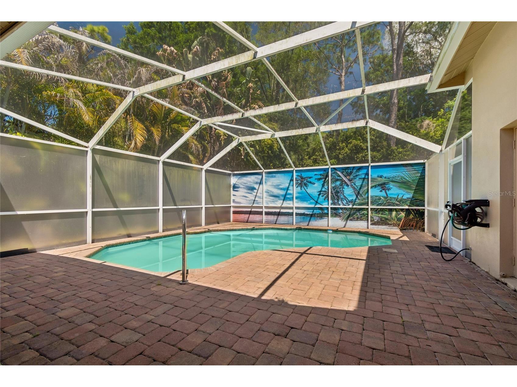 4227 Auston Way Palm Harbor FL 34685 TB8497292 image41