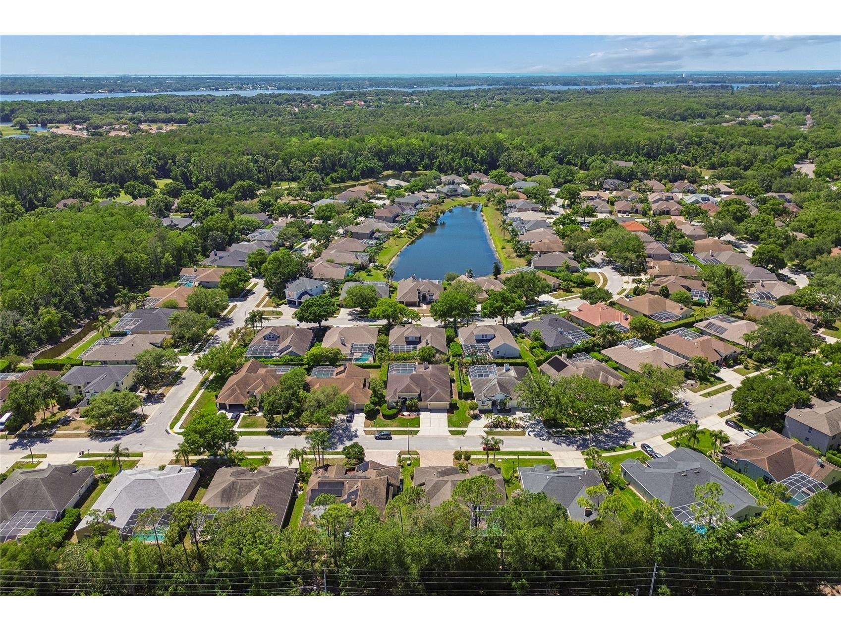 4227 Auston Way Palm Harbor FL 34685 TB8497292 image49
