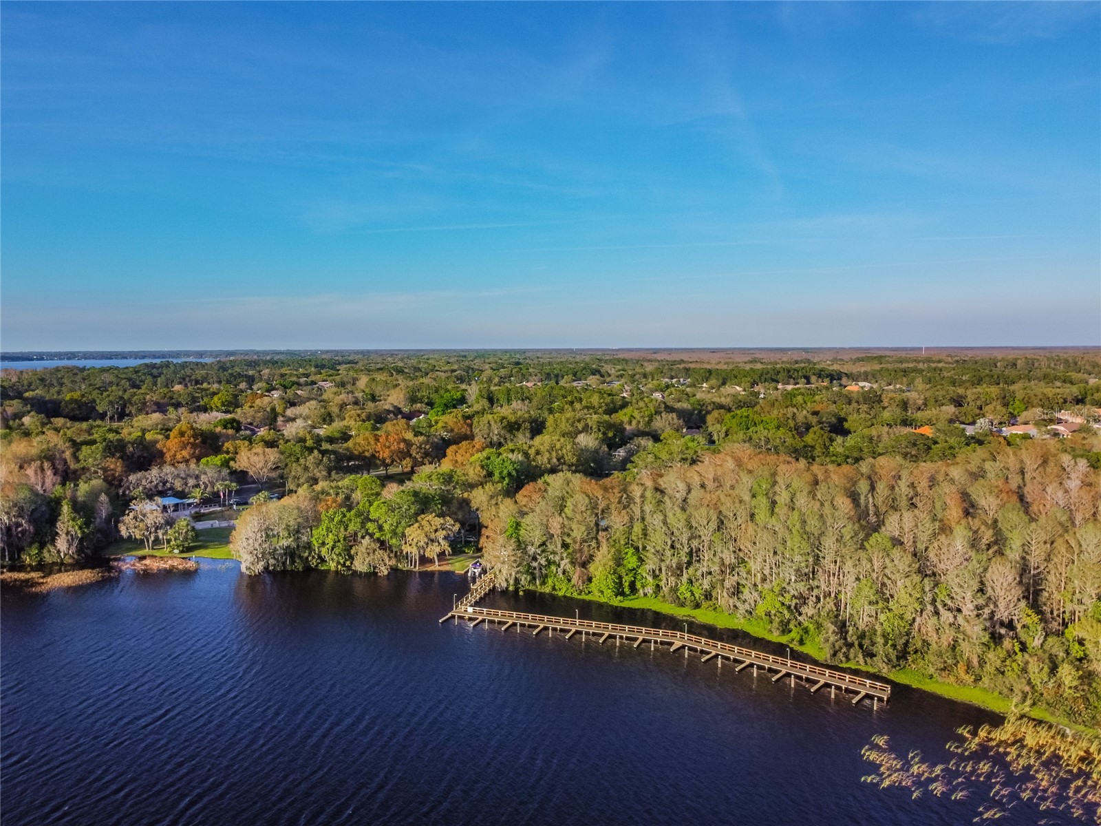 4227 Auston Way Palm Harbor FL 34685 TB8497292 image50
