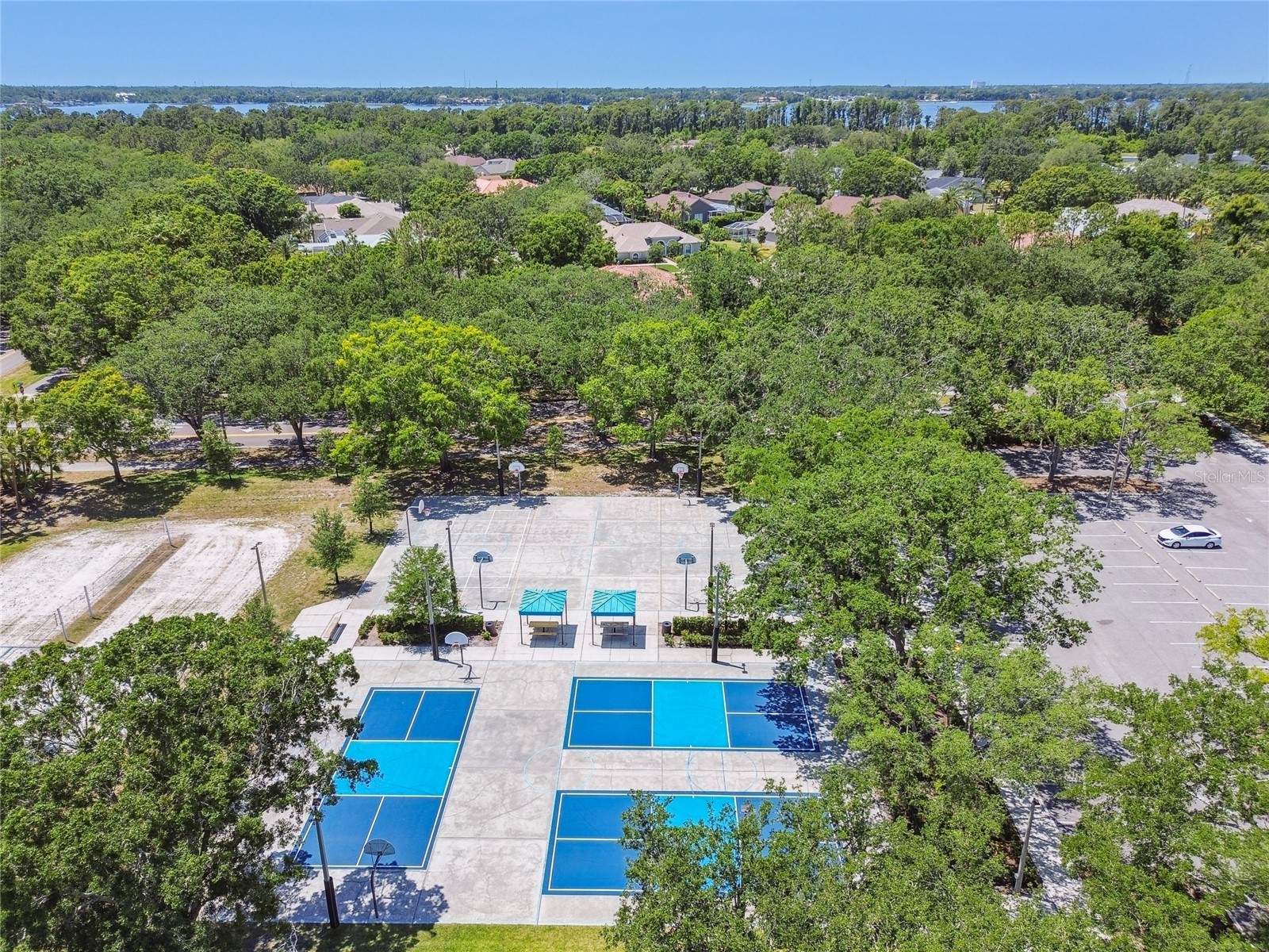 4227 Auston Way Palm Harbor FL 34685 TB8497292 image53