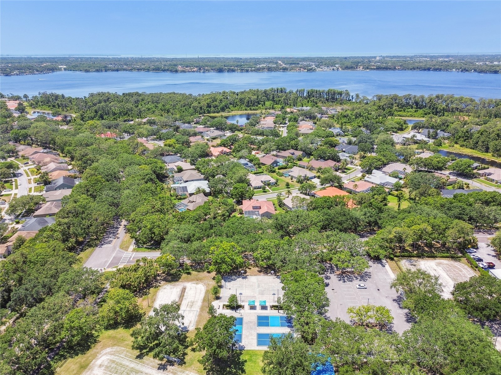 4227 Auston Way Palm Harbor FL 34685 TB8497292 image54
