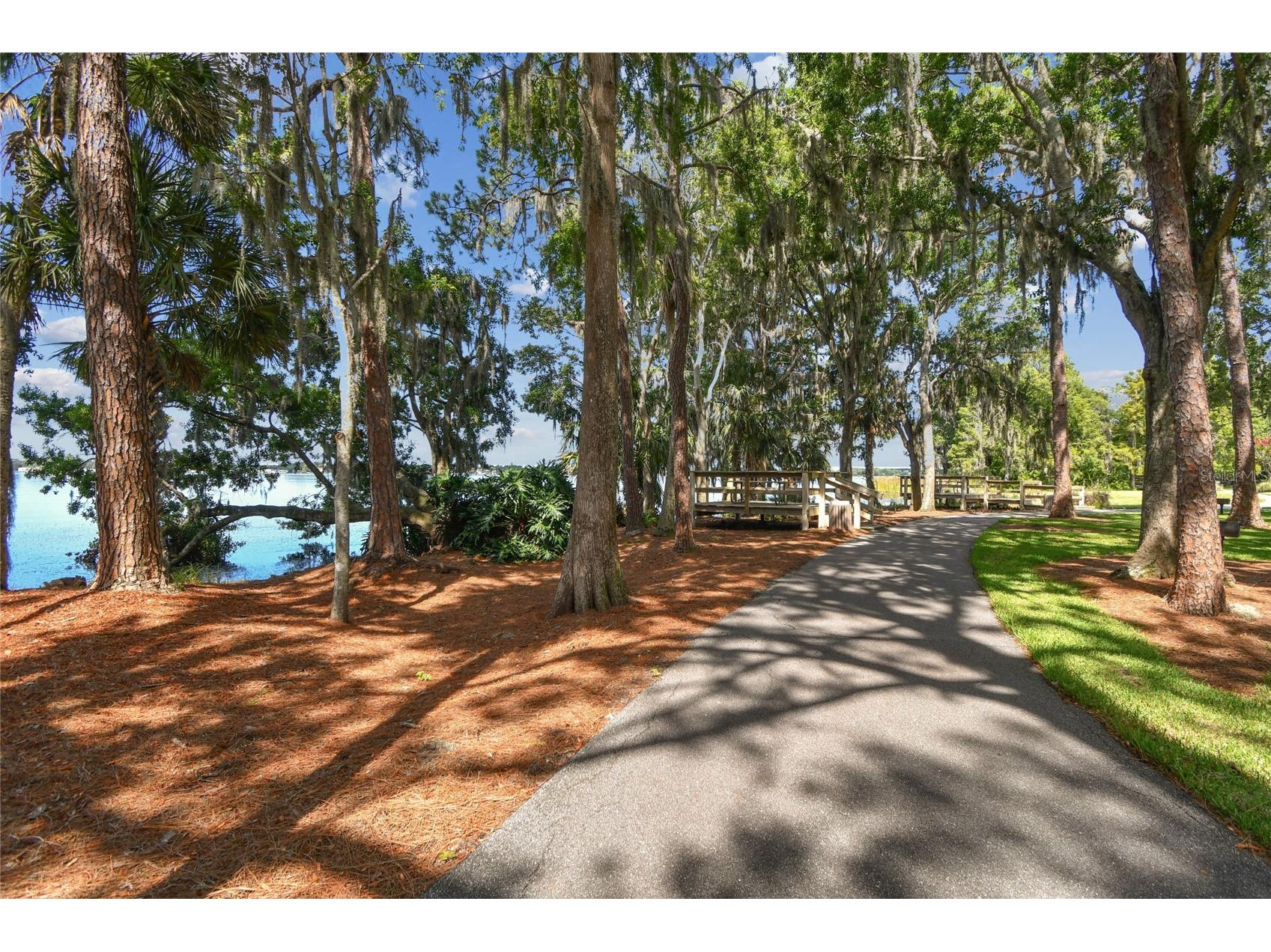 4227 Auston Way Palm Harbor FL 34685 TB8497292 image61
