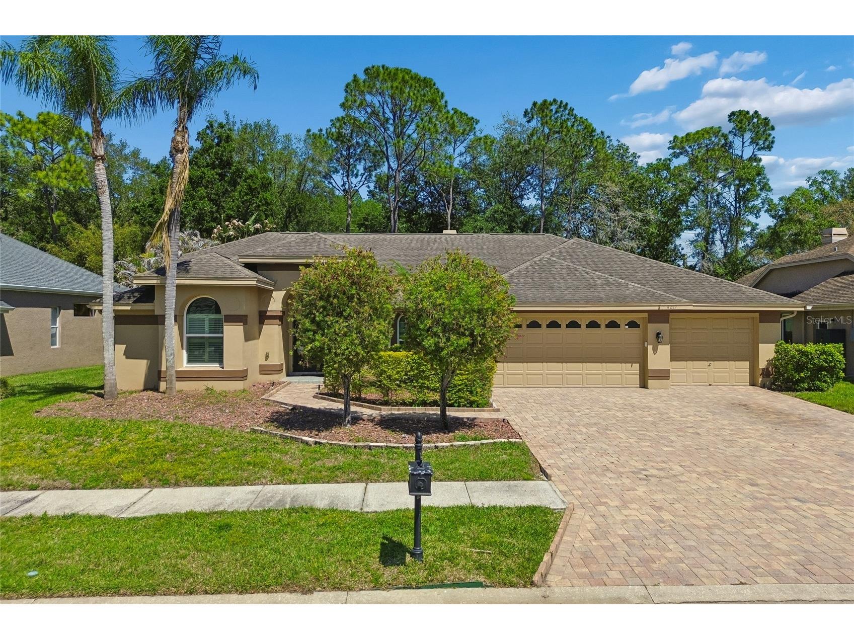 4227 Auston Way Palm Harbor FL 34685 TB8497292 image66