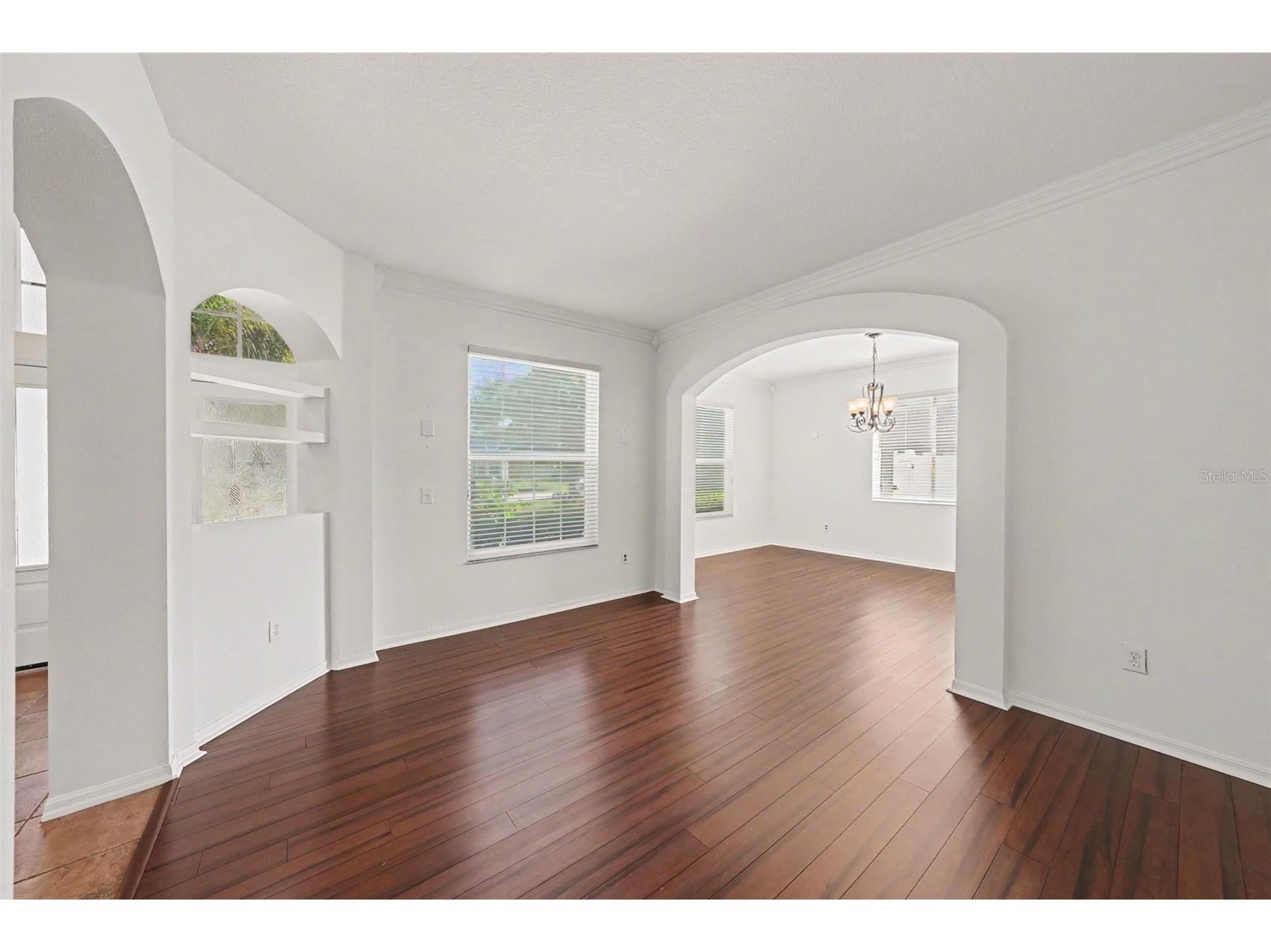 4227 Balington Drive Valrico FL 33596 TB8520387 image22