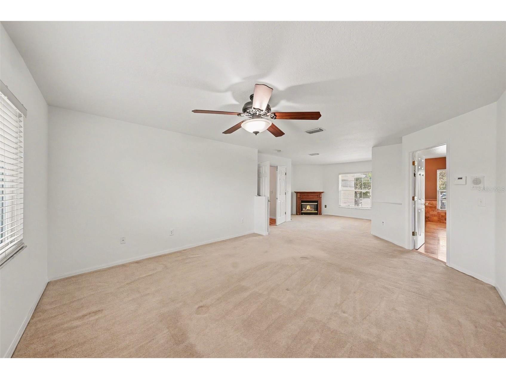 4227 Balington Drive Valrico FL 33596 TB8520387 image24