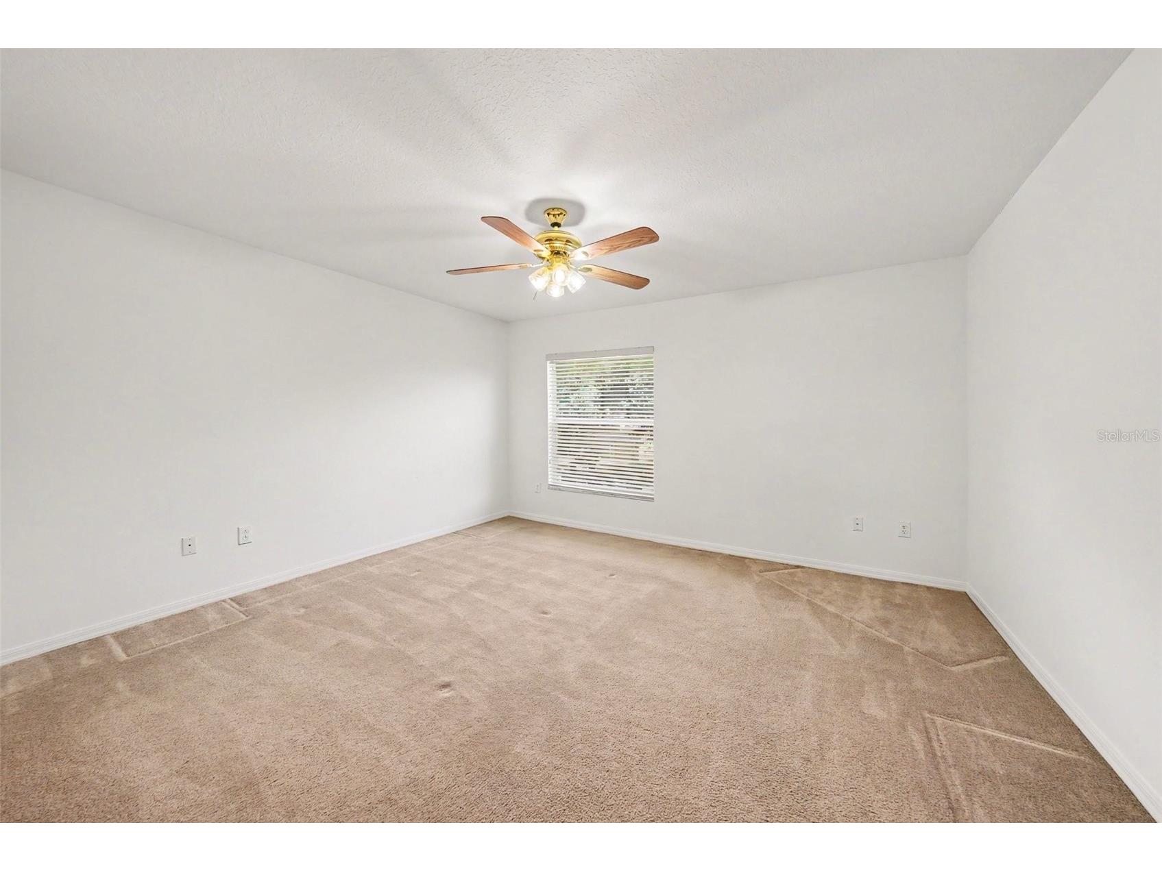 4227 Balington Drive Valrico FL 33596 TB8520387 image31
