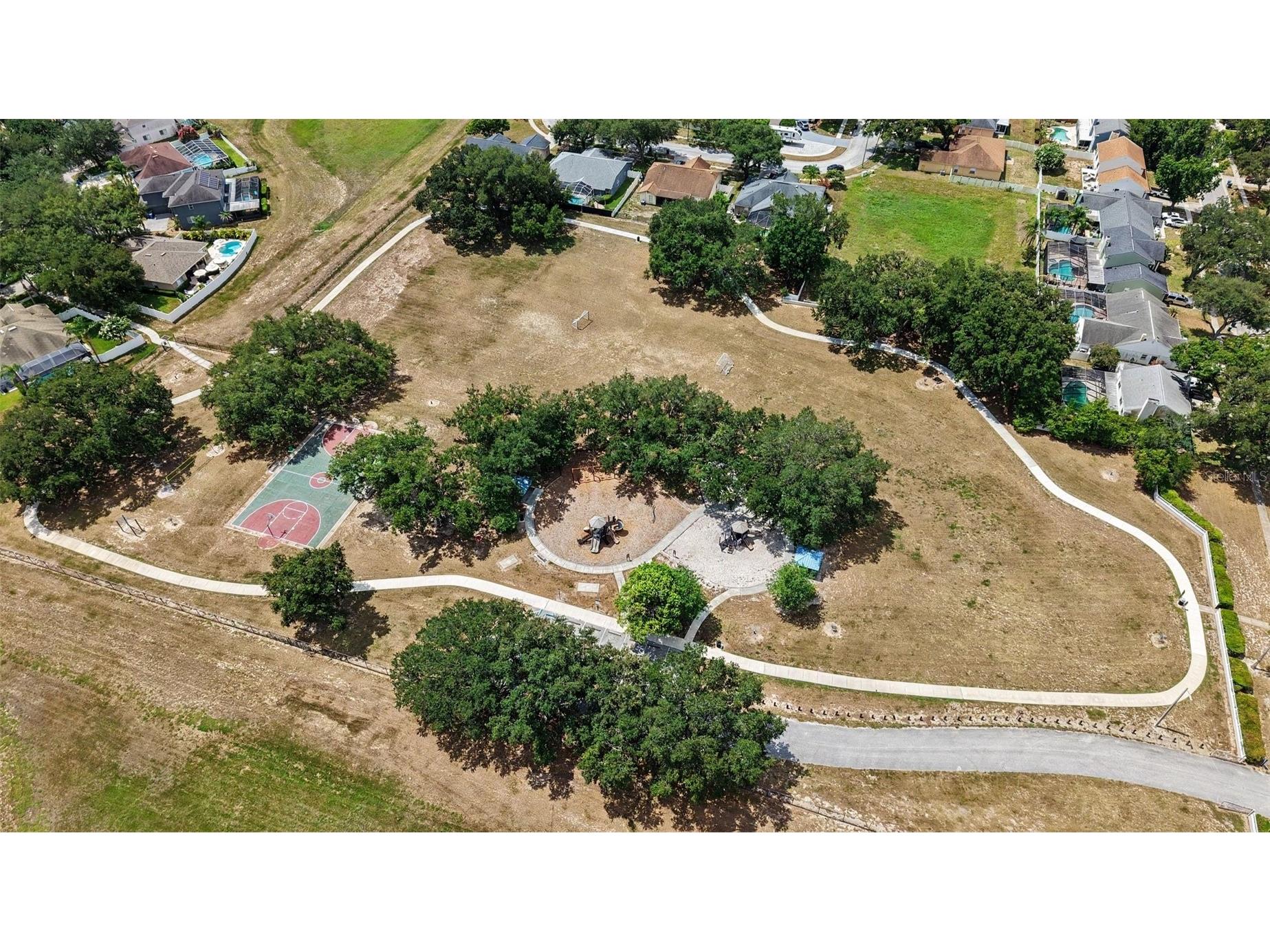 4227 Balington Drive Valrico FL 33596 TB8520387 image39