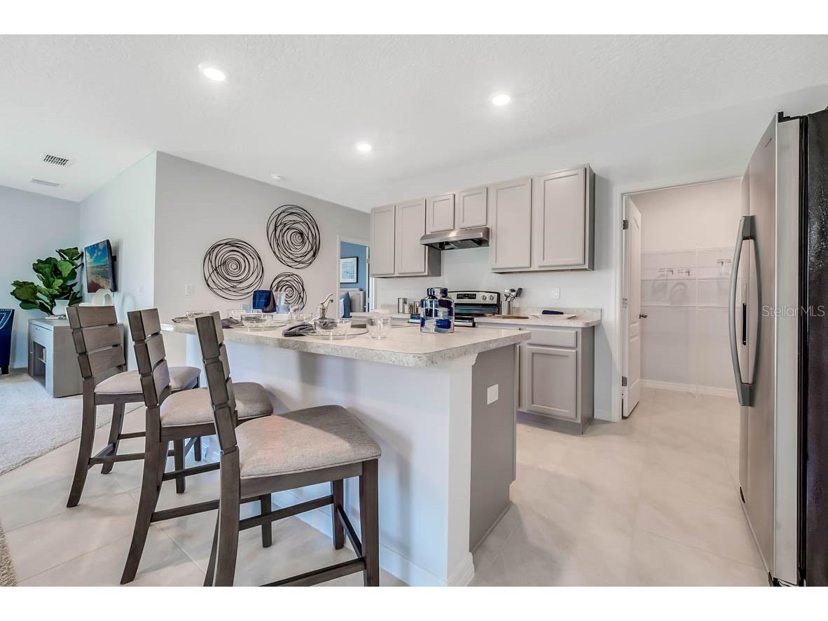 4227 Fennec Fox Way Lakeland FL 33810 O6377732 image3