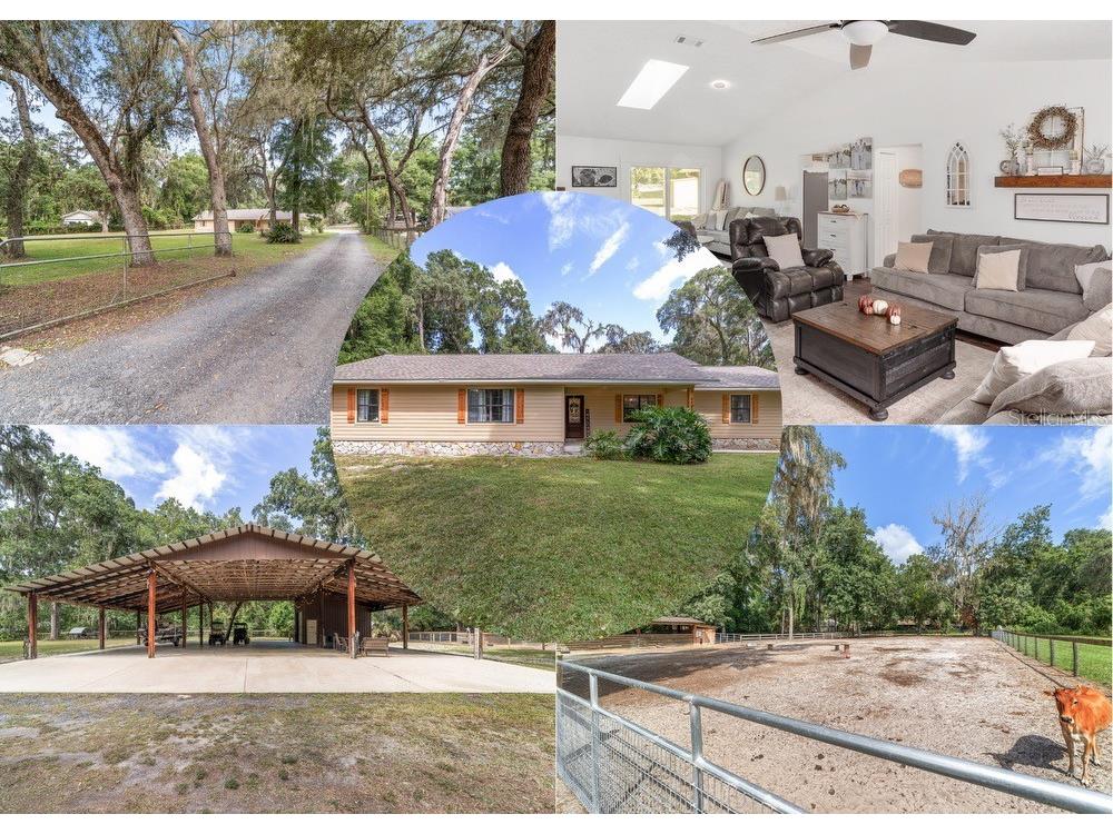 4227 NE 138th Place Anthony FL 32617 OM710278 image1