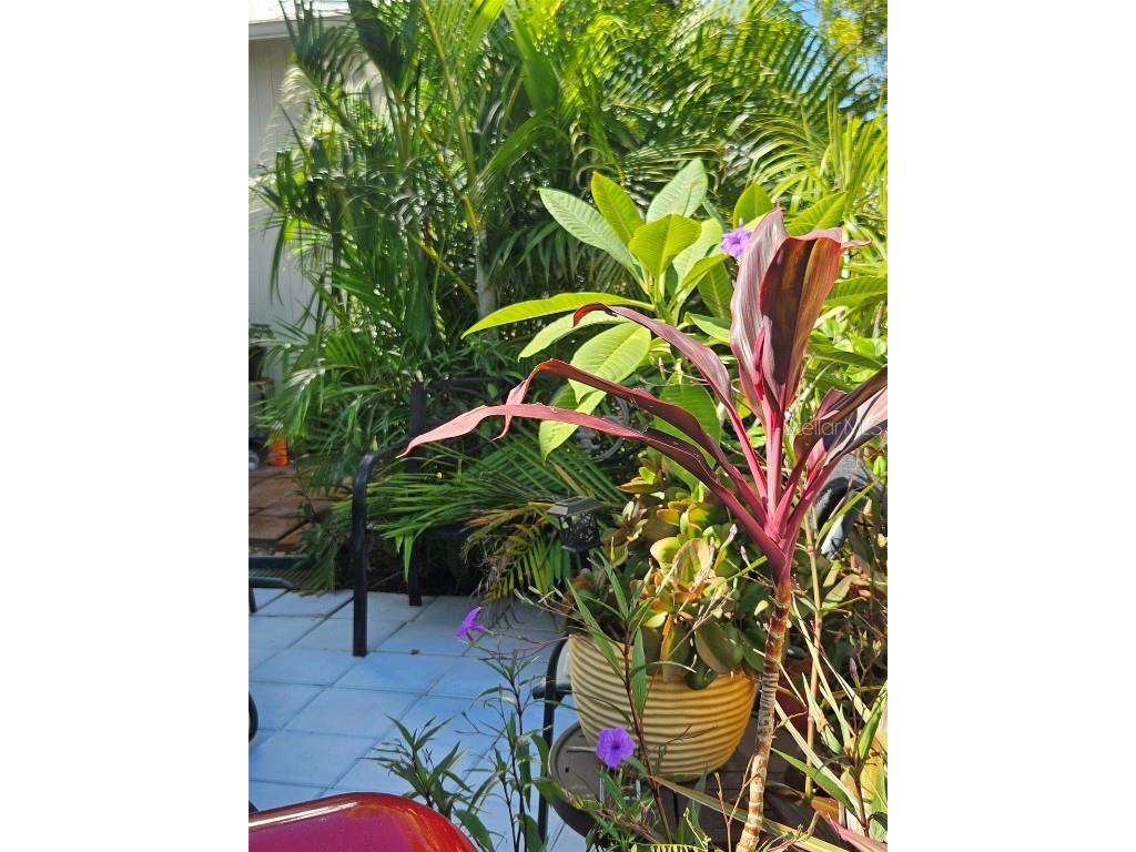 4227 Rax Place #4227 New Port Richey FL 34652 TB8417945 image36