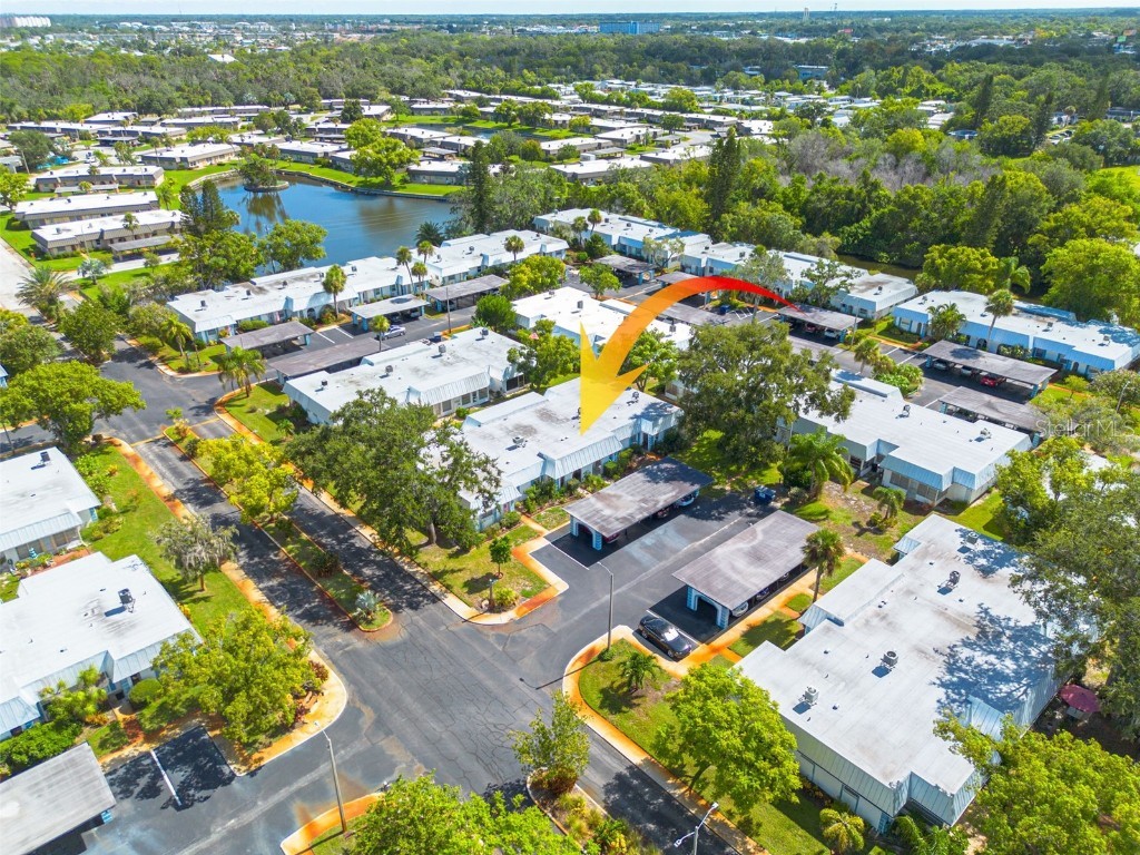 4227 Rax Place #4227 New Port Richey FL 34652 TB8417945 image43