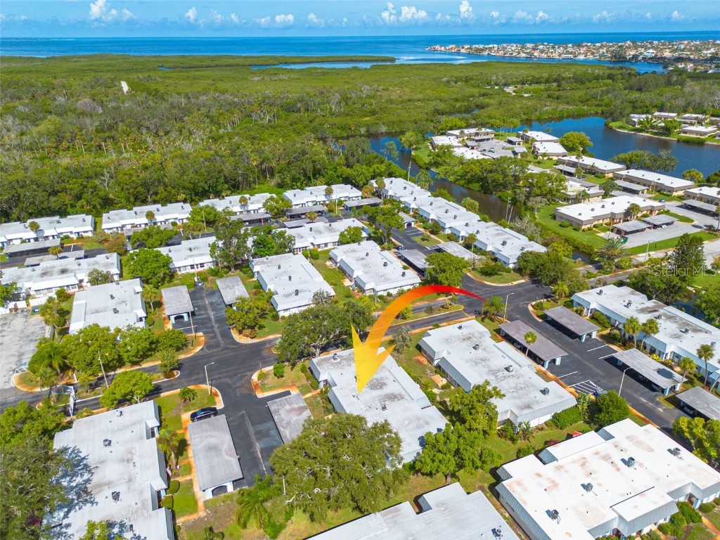 4227 Rax Place #4227 New Port Richey FL 34652 TB8417945 image44