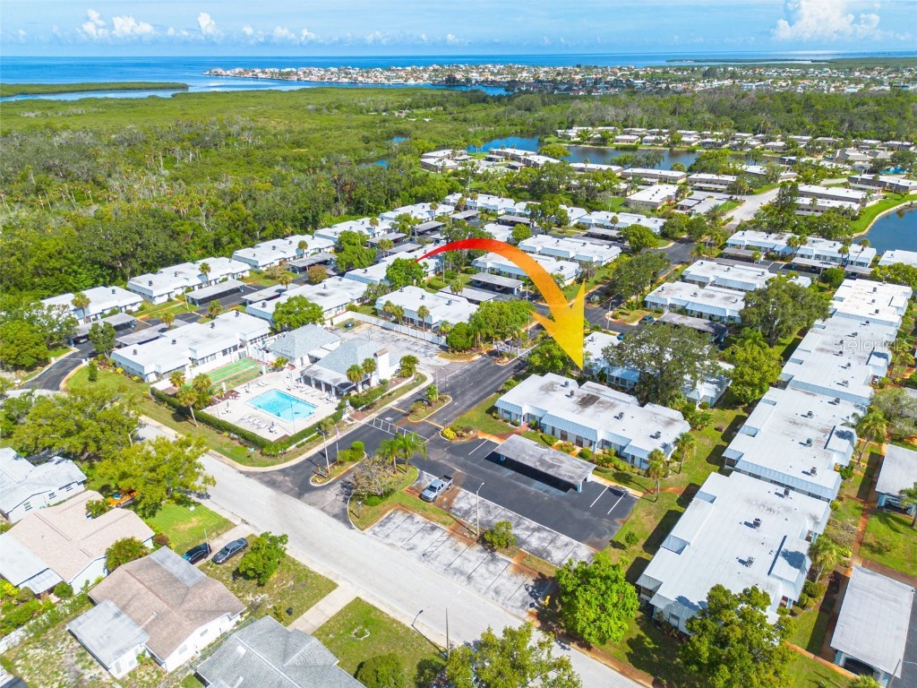 4227 Rax Place #4227 New Port Richey FL 34652 TB8417945 image47