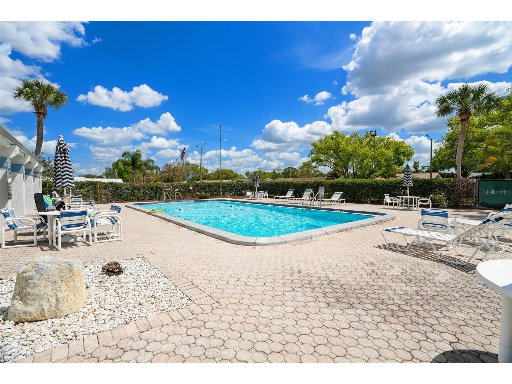 4227 Rax Place #4227 New Port Richey FL 34652 TB8492933 image31