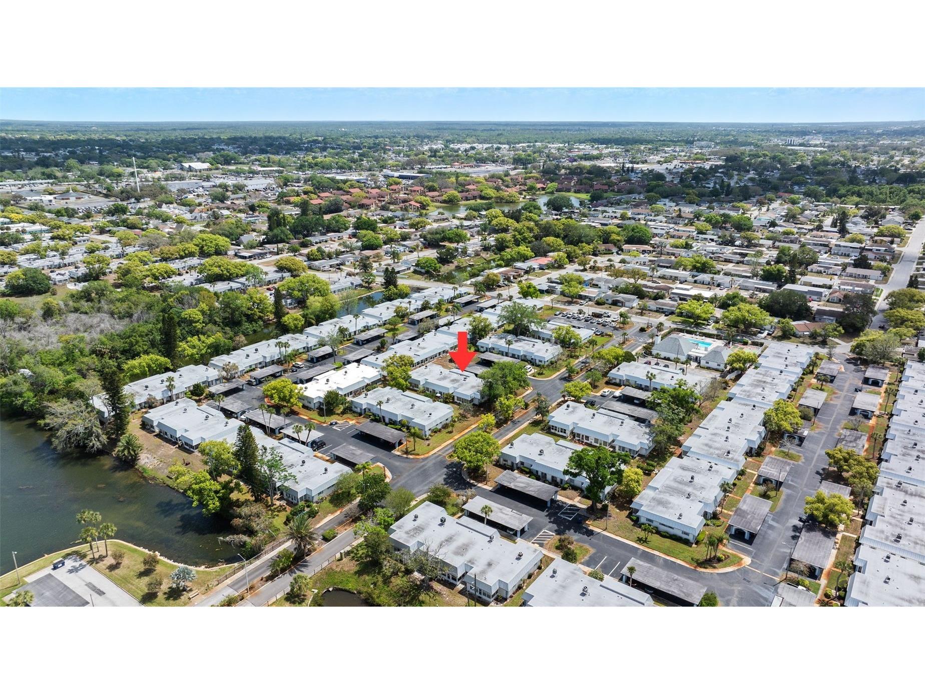 4227 Rax Place #4227 New Port Richey FL 34652 TB8492933 image40