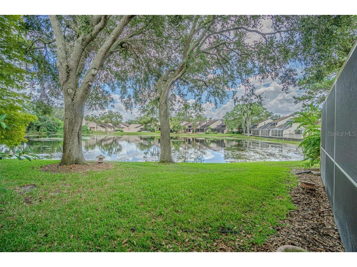 4228 Arborwood Lane Tampa FL 33618 TB8436879 image29