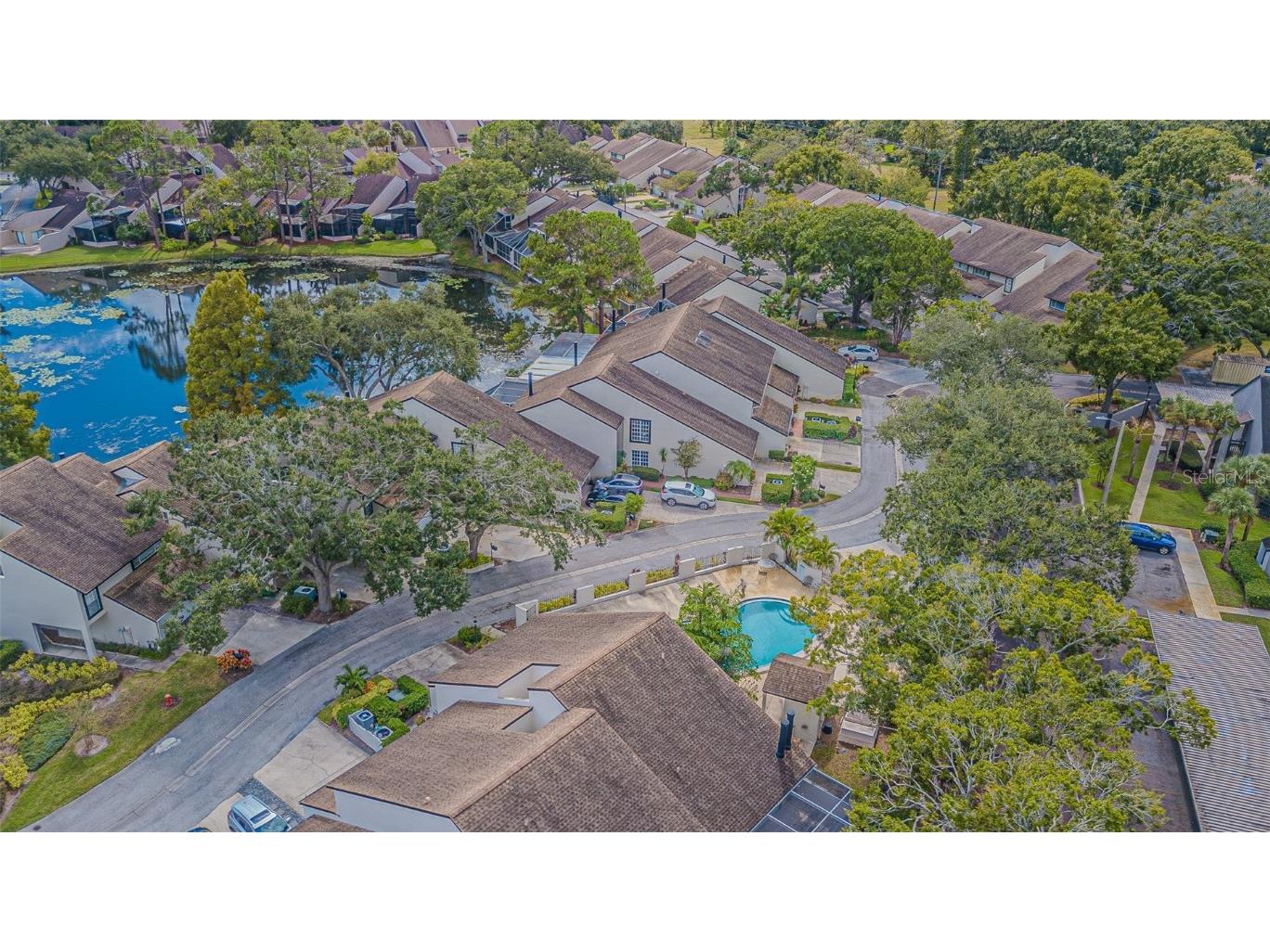 4228 Arborwood Lane Tampa FL 33618 TB8436879 image30